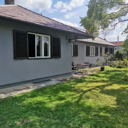 Sonnendurchfluteter Bungalow  in Strasshof 9 Zi, 2 Terrassen, Stellplätze, romantischer Garten -  in MIETKAUF - Bild 3