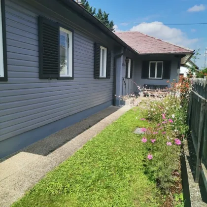 Sonnendurchfluteter Bungalow  in Strasshof 9 Zi, 2 Terrassen, Stellplätze, romantischer Garten -  in MIETKAUF - Bild 2