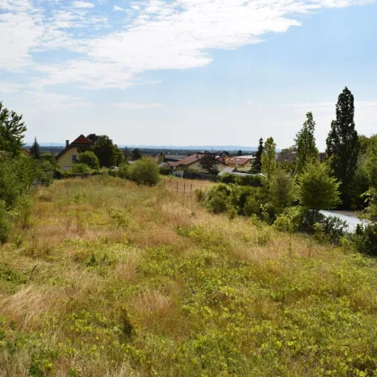 Wunderschönes und seltenes Grundstück mitten in Sooss, schöner Fernblick und RUHE, kein Fahnengrundstück - Bild 2