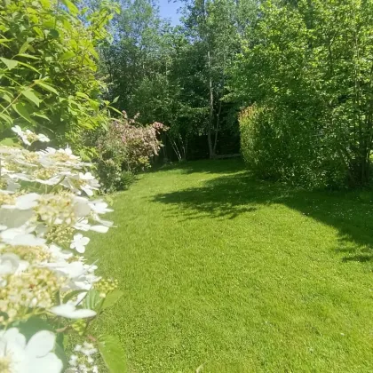 Gartenwunder!!! Sanierungsbedürftiges Einfamilienhaus in traumhafter Lage - Bild 3