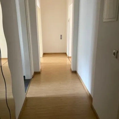 BARRIEREFREI ! Perfekt geeignet für Studenten oder Singles! Gemütliche 2 Zimmer wohnung - sofort verfügbar! - Bild 2