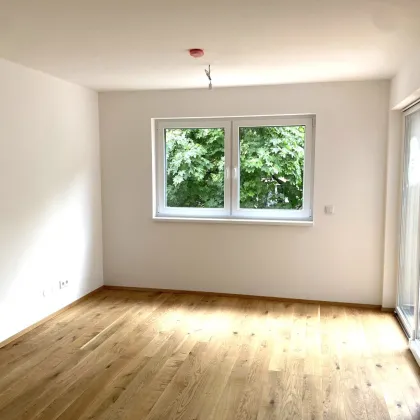 Single- bzw Starterwohnung - auch für Anleger interessant +++ COLERUSGASSE 21 - Bild 2