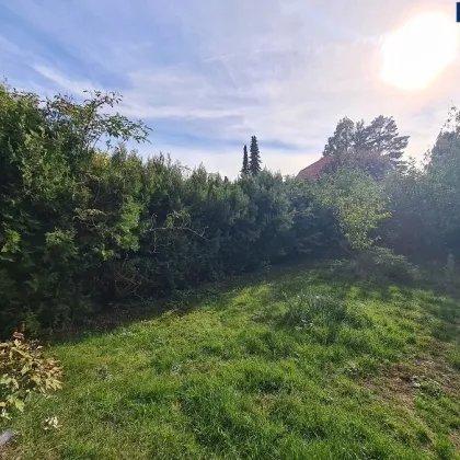 Bungalow mit schönem Garten in beliebter Wohngegend! Ca. 779m² Baugrundstück mit ca. 57m² Bungalow mit Keller in gefragter Lage! PROVISIONSFREI direkt vom Eigentümer! - Bild 3