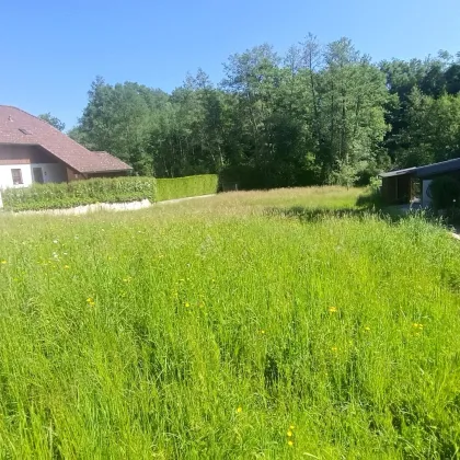 Sonniges Grundstück am Waldrand sehr idyllisch am Bach - Bild 2