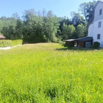 Sonniges Grundstück am Waldrand sehr idyllisch am Bach - Bild 3