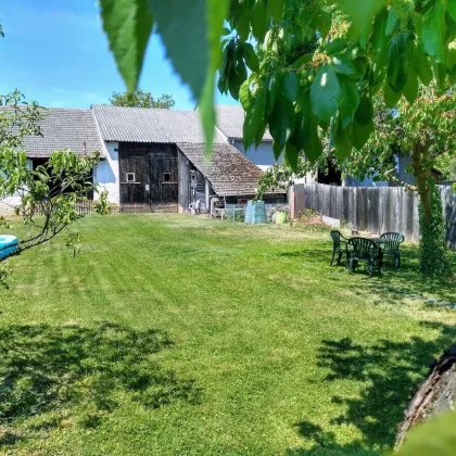 Leben, wo andere Thermenurlaub machen! Langstreckhof im sonnigen Lutzmannsburg - Bild 3