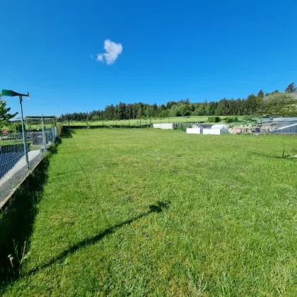 Gepflegtes, vollrenoviertes Einfamilienhaus im Waldviertel - Bild 2