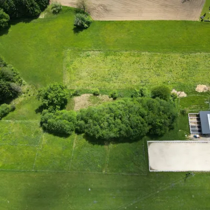 Exklusives Pferdeparadies zur Pacht in Drobollach am Faaker See - Bild 2