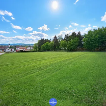 Panorama Hills - Grundstück in bester Lage - Bild 3