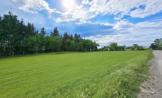 Panorama Hills - Grundstück in bester Lage