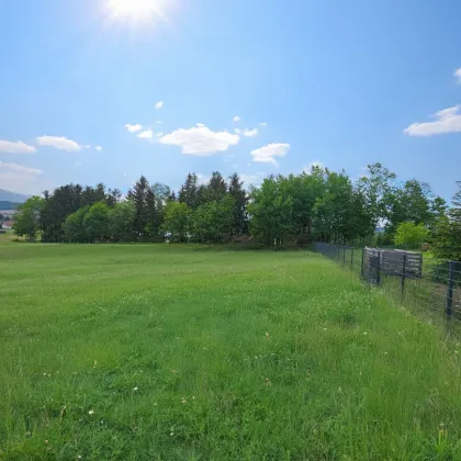 Panorama Hills - Grundstück in bester Lage - Bild 2