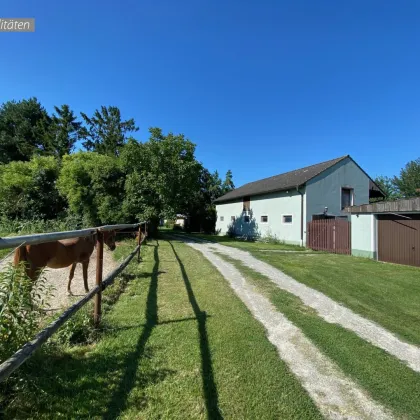 Für Reiter und Pferdeliebhaber, Wohnhaus mit eigenem Reitstall und Koppeln direkt hinter dem Haus - Bild 2