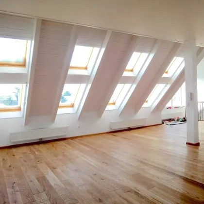 Luxuriöses Penthouse mit Dachterrasse (110 m²) in Toplage - 218m² Wohnfläche in 1. Etage nähe Uno-City um 1.500.000,00 € - Bild 3