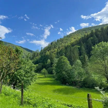 Wunderbarer Besitz in Großstübing Graznähe - Bild 3