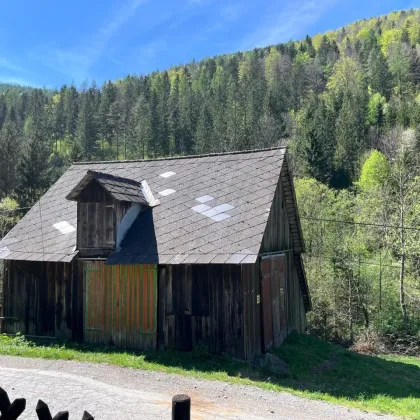 Bauernhaus mit 2,5 ha Grund in Großstübing - Bild 2