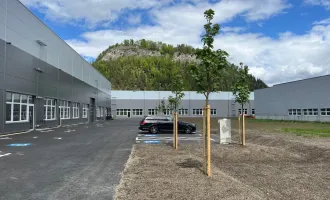 Lagerflächen in neuen Industriehallen direkt bei der Abfahrt Leoben West