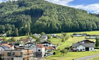 Blick ins Grüne in Pinsdorf.