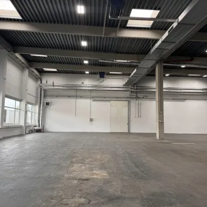 Produktionshallen I Lagerflächen I Gewerbefläche ca 1350m2 - Bild 3