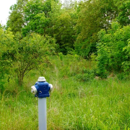 Sonniges Grundstück in Ruhelage Nähe Engelhartstetten - Bild 2