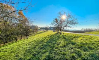 Naturnahes Wohnbau-Grundstück. - Mit Wald-Anteil. - 5 Min. vor Jennersdorf.