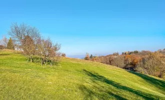 Naturnahes Wohnbau-Grundstück. - Mit Wald-Anteil. - 5 Min. vor Jennersdorf.