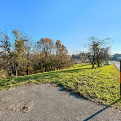 Naturnahes Wohnbau-Grundstück. - Mit Wald-Anteil. - 5 Min. vor Jennersdorf. - Bild 3