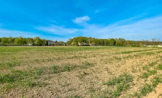 Großes Grundstück am Beginn von Jennersdorf. - Teilung vorstellbar. - Vielfältiges Potential.