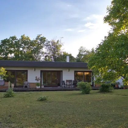 TRAUMHAFTES HAUS MIT DIREKTEM SEE ZUGANG - WUNDERSCHÖNER AUSBLICK AUF DEN ESTERHAZYSEE - Bild 2