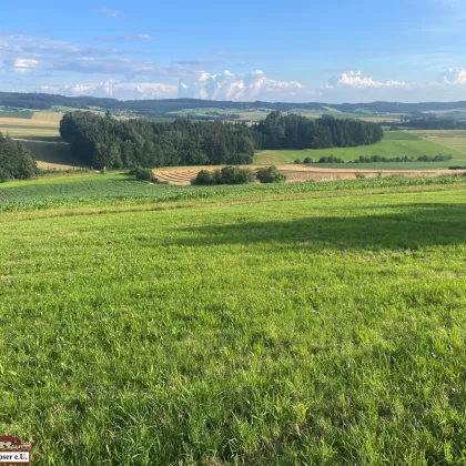 suchen sie das Besondere? Baugrund mit unverbaubarem Fernblick in sonniger Lage ! - Bild 3