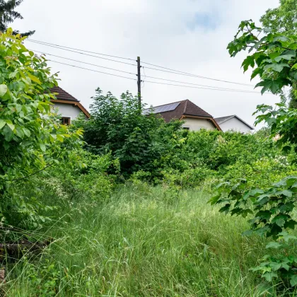 Eigenheimträume wahr werden lassen - Baugrund in Linz zu verkaufen - Bild 3