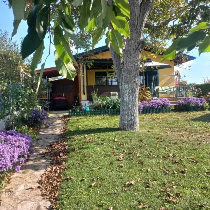 ANLAGEOBJEKT - Bungalow mit großzügigem Garten - Bild 3