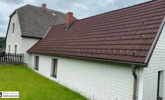 Wohnen und Arbeiten im Waldviertel - Viel Haus für wenig Geld - - 7 Zimmer, 170m², Garten & Terrasse