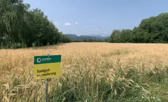 AGRAR LANDWIRTSCHAFT mit fruchtbarem Boden in guter Lage +++ Anschlüsse vorhanden