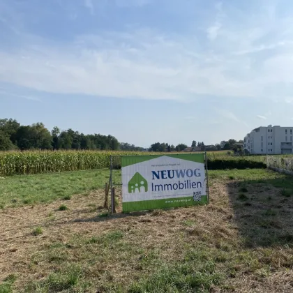 Eigenheim jetzt sichern, Traumimmobilie in St. Marien, Oberösterreich - Haus 3 Lavendelweg - Bild 3