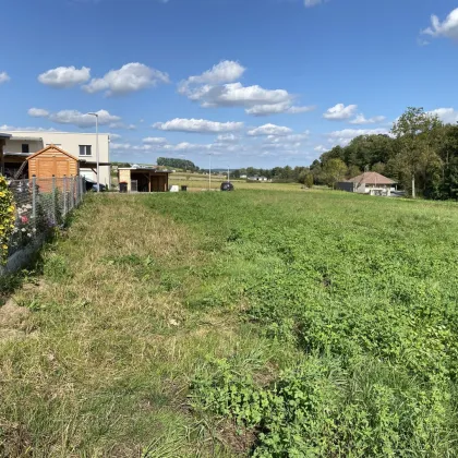 Eigenheim jetzt sichern, Traumimmobilie in St. Marien, Oberösterreich - Haus 3 Lavendelweg - Bild 2