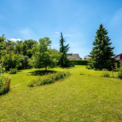 Wunderschönes Baugrundstück in Schönkirchen-Reyersdorf zu Verkaufen! - Bild 3