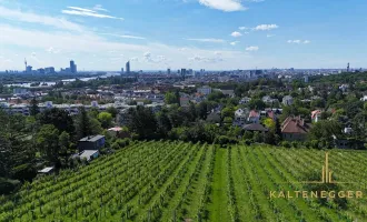 Baugenehmigtes Grundstück am Döblinger Nussberg