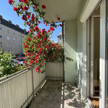 Eigentumswohnung in Urfahr (Erstbezug nach Sanierung) mit Sonnenbalkon nähe Donau, sehr gute ÖFFI Anbindung, vielzählige Freizeitmöglichkeiten, sofort beziehbar! - Bild 2