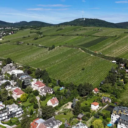 Einzigartige Villenlage am Fuße des Nussbergs - mit Baubewilligung Neubau Luxusvilla mit Pool und Tiefgarage - Bild 2