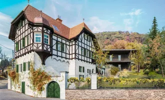 Für Altbau-Liebhaber (nicht barrierefrei!) - Villa Gritzenweg, geschichtsträchtiges Winzerhaus mit fantastischem Stadt-/Schlossbergblick!