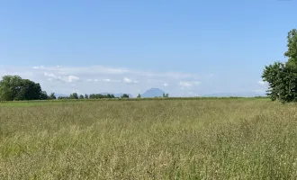 Traunsteinblick: Baugrund in der Gemeinde Steinerkirchen an der Traun/Linden