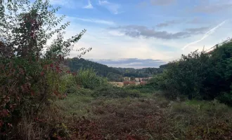 Sanierungsbedürftiges Haus in traumhaft schöner Sonnenruhelage