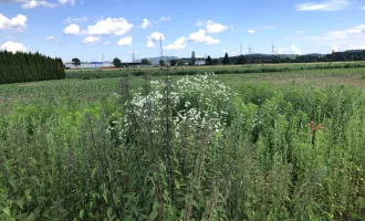 WOHNEN inmitten der NATUR ***Ihr TRAUM vom EIGENHEIM*** ebenes Baugrundstück, 967 m² Ruhelage, sonnig 8142 ZWARING