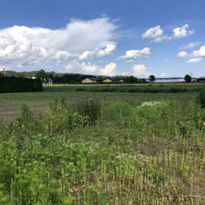 WOHNEN inmitten der NATUR ***Ihr TRAUM vom EIGENHEIM*** ebenes Baugrundstück, 967 m² Ruhelage, sonnig 8142 ZWARING - Bild 3