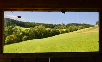 Vierkanthof mit liebevollen großen Garten in Ruhelage