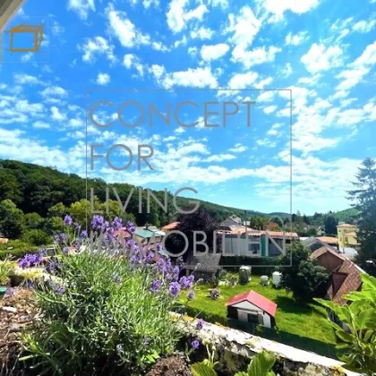 BALKONWOHNUNG /// MAUERBACH  Traumhafter Blick I Wald & Wiese I Sonne I Natur PUR I Gartennutzung - Bild 3