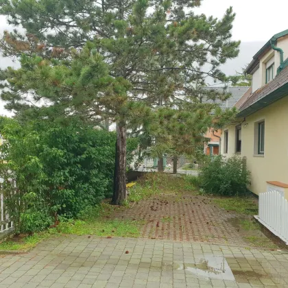 Dreizimmerwohnung mit Garten + Terrasse zu vermieten! - Bild 2