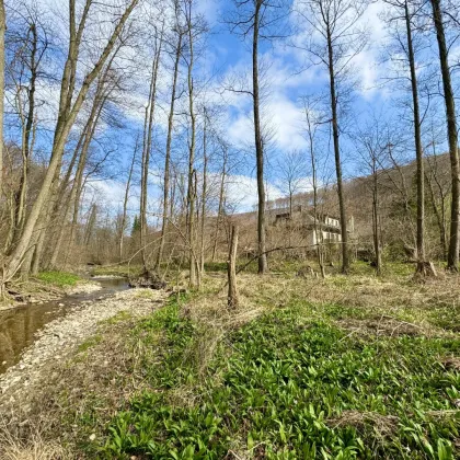 Idyllische Ruhelage mit anliegendem Bach: Ihre Villa mit riesigem Potential - Bild 2