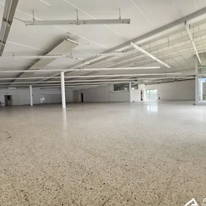 Trofaiach! - Gewerbehalle mit 800m² Nutzfläche zum Mieten! - Bild 3