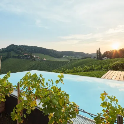 GEEIGNET FÜR INVESTOREN - Modernes Apartment in der malerischen Südsteiermark, nahe den Weinbergen - Bild 2